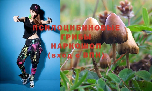 тгк Бронницы