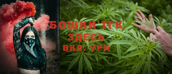 PSILOCYBIN Верхний Тагил